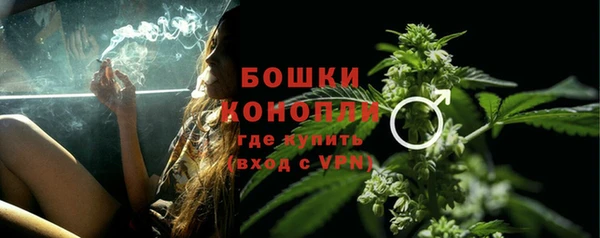 PSILOCYBIN Волоколамск