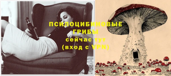 экстази Снежногорск