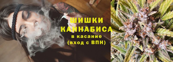 МДПВ Верхний Тагил